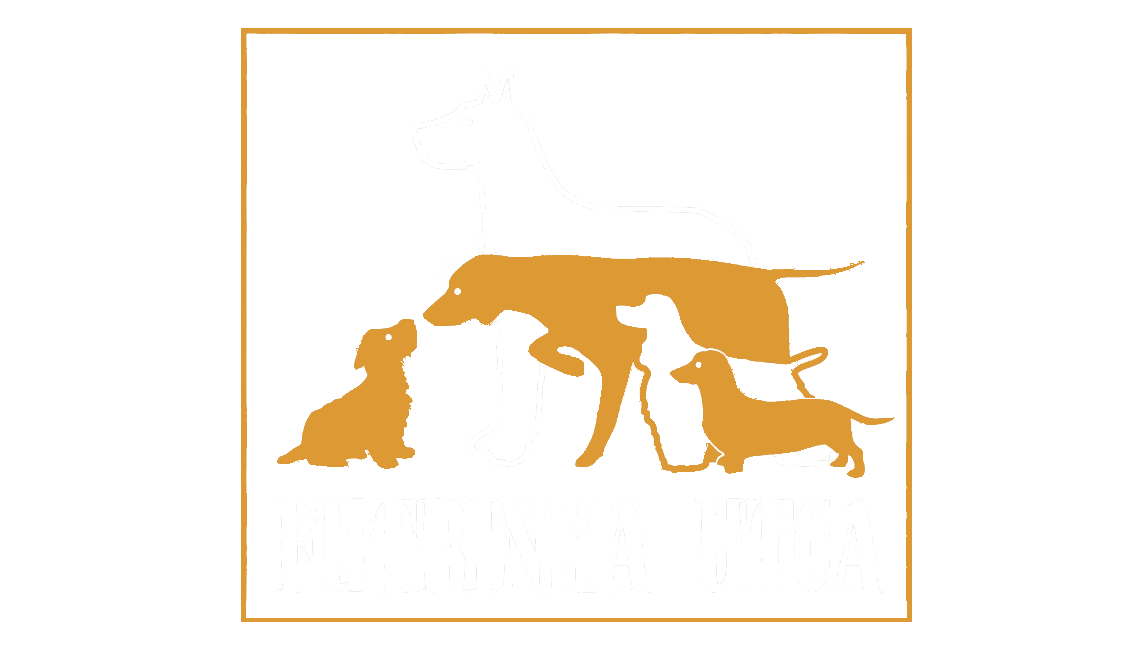 Metis Consulting partner - Futrinka