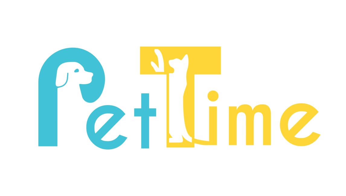 Metis Consulting partner - Pettime