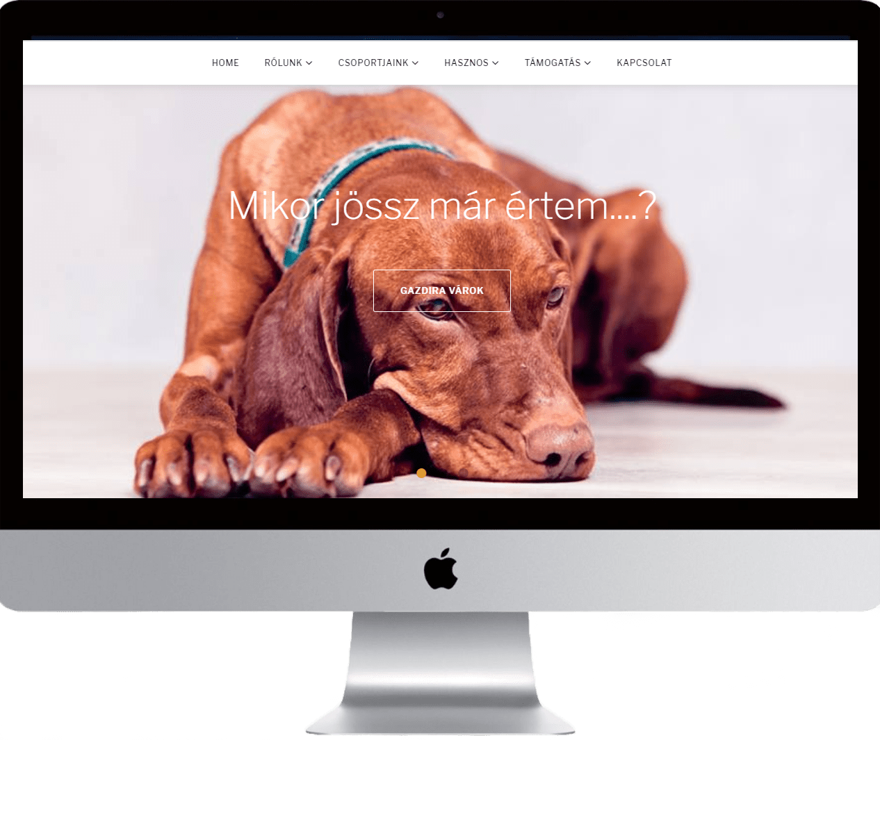 Metis Consulting SEO audit projektje